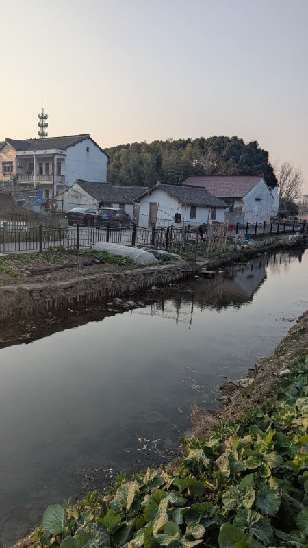 Спокойный вид на реку или канал в пригородной зоне с низкими домами у берега и растительностью на переднем плане.