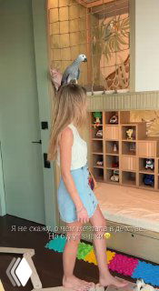 Девочка стоит в детской комнате с попугаем на голове; на заднем плане видны полки с игрушками, коврики и балансировочные подушки.