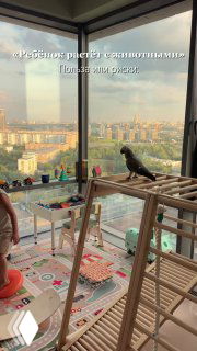 Квартира с панорамным окном, детскими игрушками на полу и попугаем на игровой стенке; сцена показывает ребёнка и питомца в домашней среде.