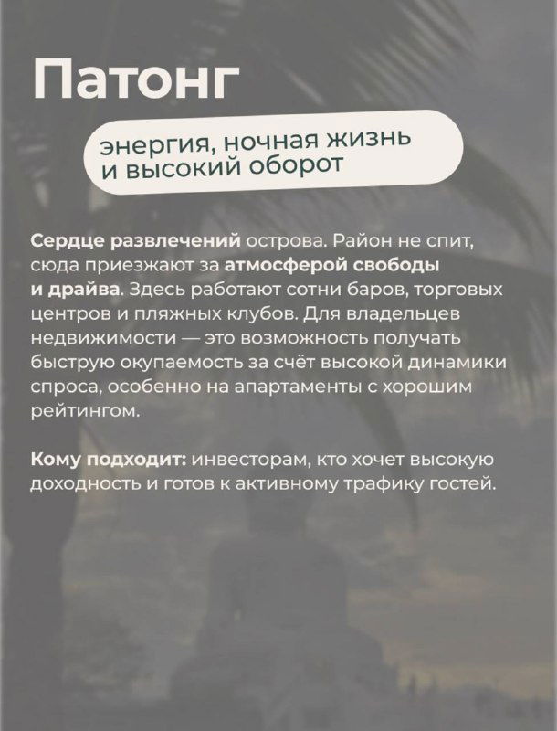 Слайд «Патонг»: карточка о ночной жизни, высокой активности туристов и высокой доходности аренды в этом районе Пхукета. Подробности в материале KOYA.