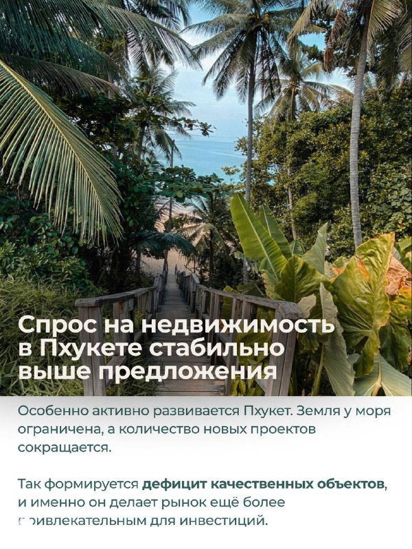 Тропическая сцена с высокими пальмами и плотной зелёной листвой — визуализация отдыха и жизни в тропическом климате Таиланда.