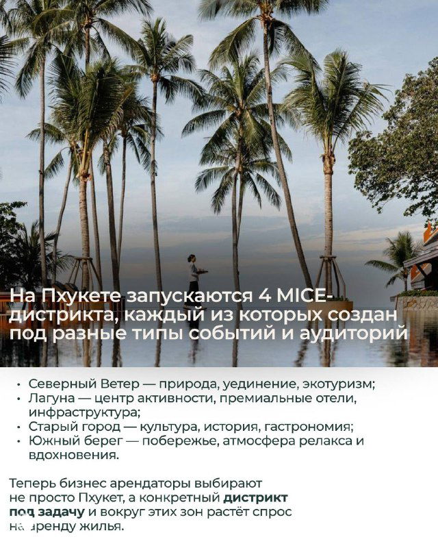 Пальмы на береговой линии и текстовые пункты, иллюстрирующие разделение берегов и запуск MICE-дистрикта на Пхукете для разных типов событий.