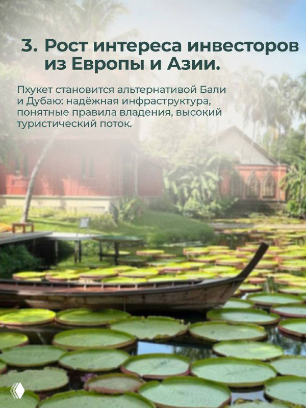 Лодка среди лилий и спокойной воды у прибрежной зоны — пейзаж, подчёркивающий природную привлекательность острова для инвесторов и туристов.