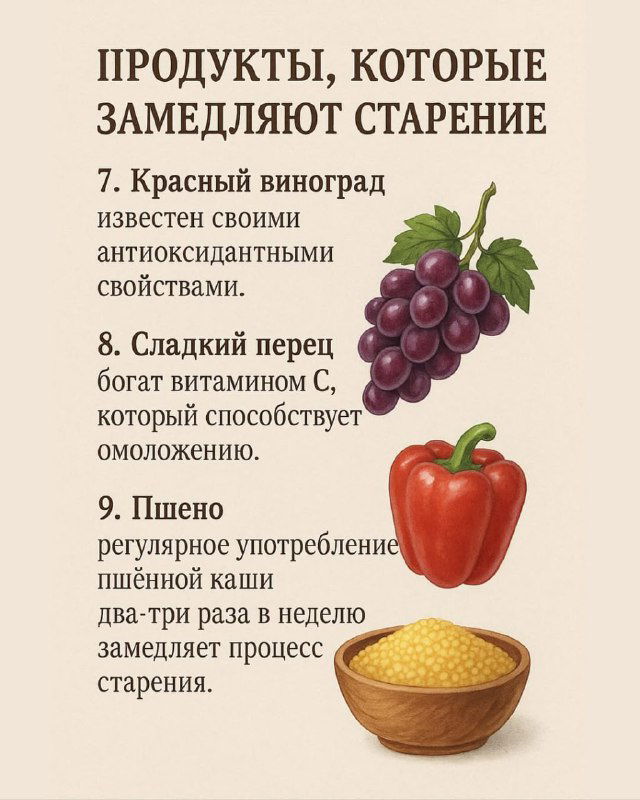 Рисунки красного винограда, сладкого перца и пшена с подписью о витаминах и замедлении старения при регулярном употреблении таких продуктов.