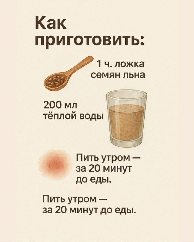 Инфографика приготовления: ложка семян льна и стакан тёплой воды с подписями — 1 ч. ложка семян, 200 мл тёплой воды, пить за 20 минут до еды.