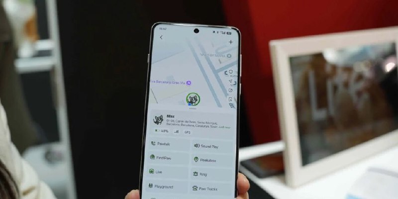 Смартфон с открытым приложением трекинга и картой, демонстрирующий позицию питомца и интерфейс управления PetPhone на экране телефона.
