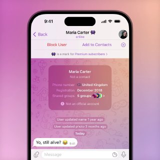 Скриншот карточки пользователя в Telegram: видно страну, дату регистрации, общие группы и сообщение внизу на размытой фоновой картинке чата.