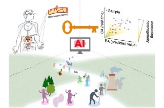 Схема: человеческий силуэт с видимыми органами, графики и значок «AI», иллюстрирующие анализ крови и предсказание биологического возраста.