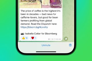 Скриншот чата Telegram с сообщением и ссылкой на статью; вид переписки и элементы управления под сообщением в мобильном интерфейсе.