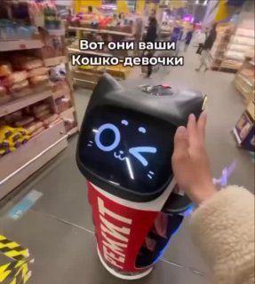 Кошко-робот на колёсах в проходе супермаркета, с анимированным лицом на дисплее; человек гладит корпус, вокруг полки с товарами.