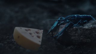 Крупный план мелкого существа рядом с куском сыра на тёмном фоне; атмосферный художественный кадр без явных подписей и брендов.