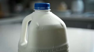 Превью: пластиковая канистра с крышкой и светлой жидкостью на размытом фоне; нейтральная сцена без явной связи с текстом.