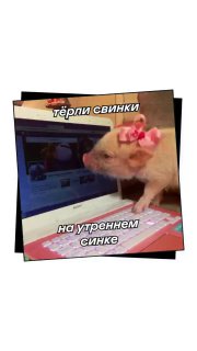 Мем: поросёнок перед ноутбуком на столе офиса; видна клавиатура и экран, изображение оформлено как коллаж с надписями.