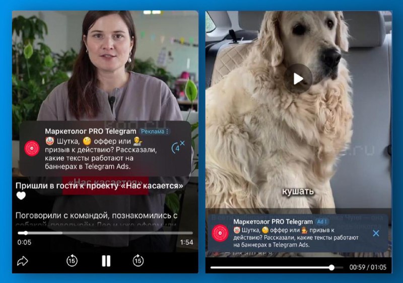 Скриншоты интерфейса Telegram при воспроизведении видео: две превью (женщина и собака), поверх видна плашка рекламы и элементы плеера.