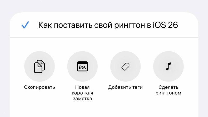 Скриншот интерфейса iOS: меню опций для файла с кнопками «Скопировать», «Новая заметка», «Добавить теги», «Сделать рингтоном».