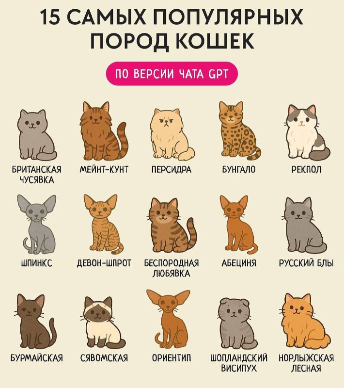 Плакат с сеткой из 15 стилизованных кошек с подписями пород и заголовком «15 самых популярных пород кошек», оформленный как иллюстрация.