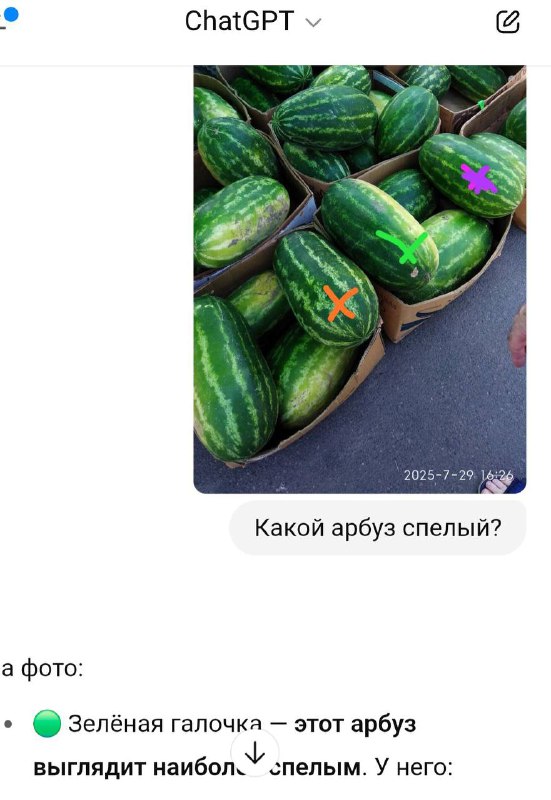 Фотография нескольких арбузов на прилавке в упаковке, видны пометки на корке и общий план плодов, демонстрирующий форму и фактуру шкурки.
