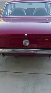 Крупный план задней части красного Mustang 1966 года — видны багажник, эмблема и бампер на фоне двора и гаража.