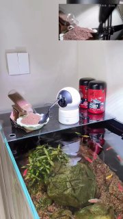 Аквариум с рыбками внизу и поворотная камера над ним, к которой прикреплена ложка со стартовым кормом — самодельная кормушка.
