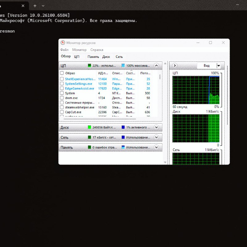 Скриншот «Монитор ресурсов» Windows с перечнем процессов и графиками загрузки CPU, демонстрирующий поиск подозрительных процессов на ПК