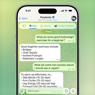 Скриншот окна чата Telegram с ботом и сообщениями, демонстрирующий текстовые ответы и обновлённый вид переписки.