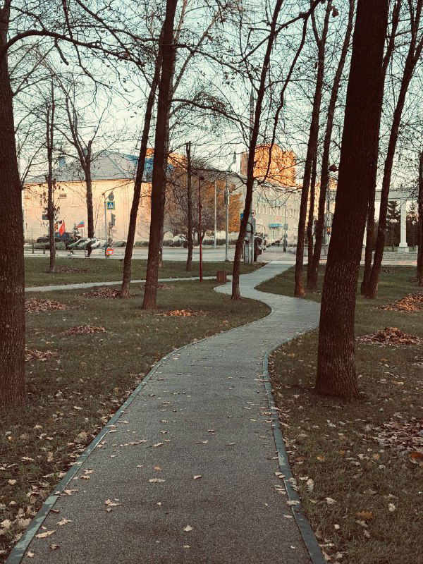 Я никогда не верила в Таро