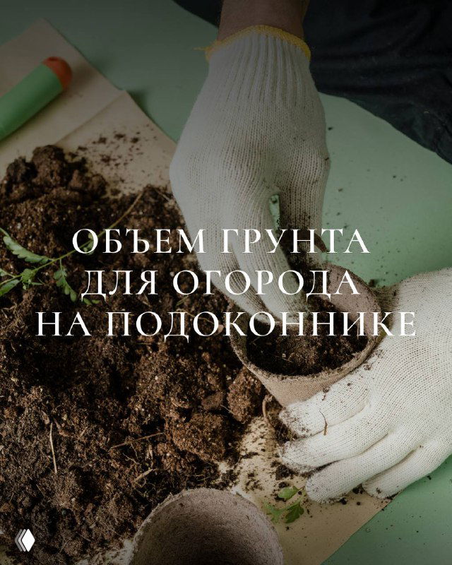 Перчатки наполняют небольшой горшок плодородной почвосмесью на столе: видны рассыпанная земля и инструменты для посадки на подоконнике