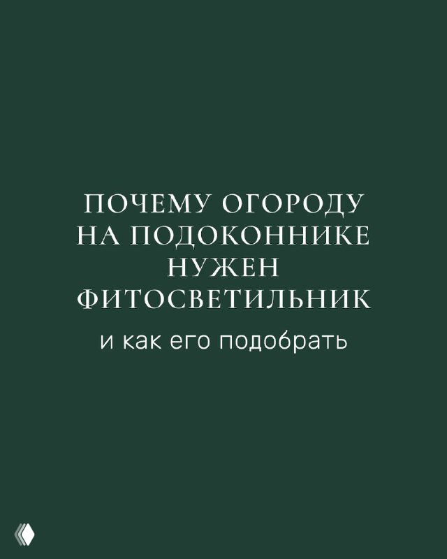 Обложка: темно-зеленый слайд с заголовком о необходимости фитосветильника для огорода на подоконнике; лаконичный дизайн и акцент на теме освещения.
