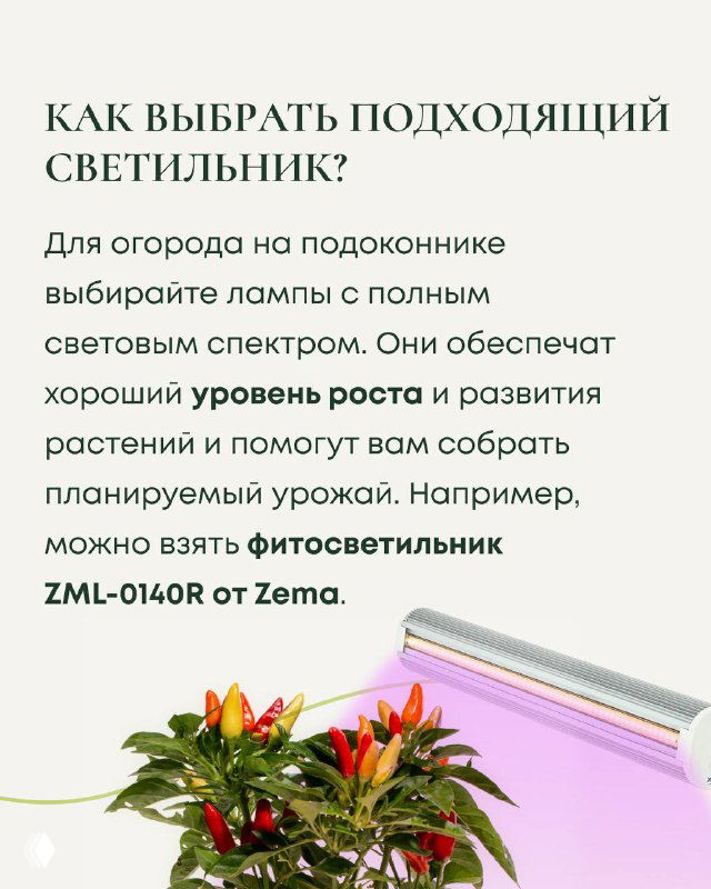 Слайд с рекомендацией по выбору: лампы с полным световым спектром, упоминание моделей (фитосветильник ZML-0140R от Zema), фото растений и лампы.