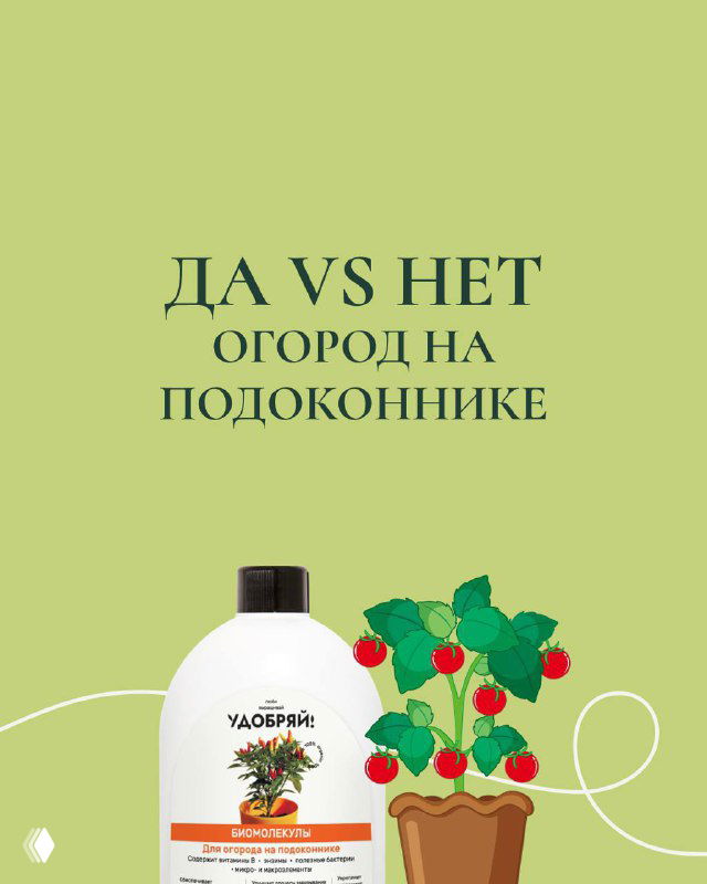 Обложка инфографики: заголовок «Да vs Нет. Огород на подоконнике», бутылка удобрения и горшки с томатами на светло‑зеленом фоне.