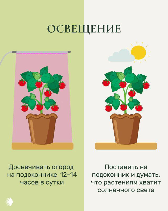 Карточка «Освещение»: две иллюстрации горшка у окна с дополнительной подсветкой и справа без дополнительного света; рекомендации по досвечиванию 12–14 часов.