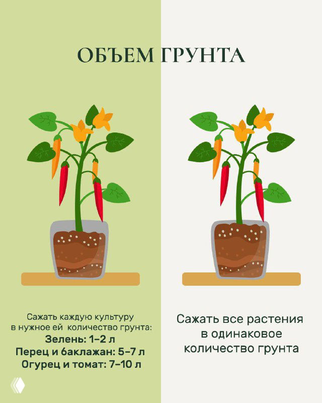 Карточка «Объём грунта»: рисунок горшков с указаниями необходимого количества земли для разных культур и количества растений в горшке (перец, баклажан, томат).