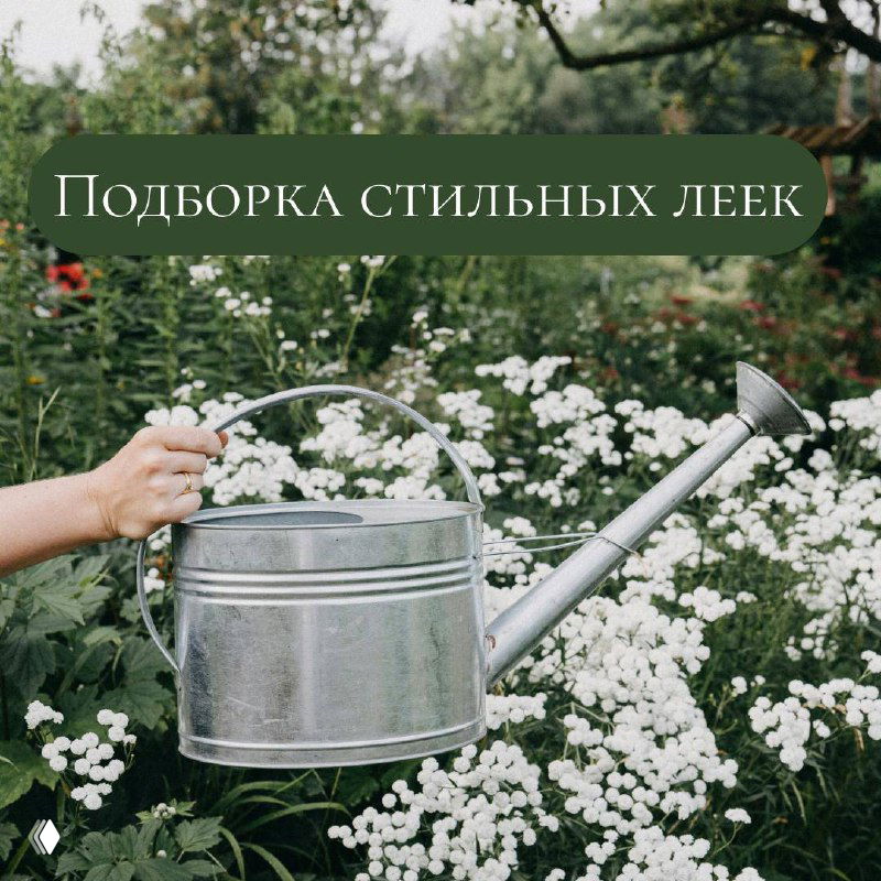 Металлическая садовая лейка на фоне белых цветов — заглавное фото подборки стильных леек для комнатных и дачных растений.