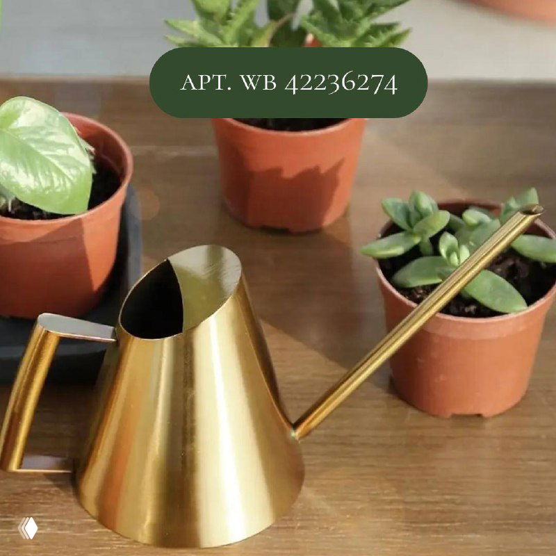 Миниатюрная золотистая леечка с тонким длинным носиком на фоне горшков и суккулентов; подпись «арт. WB 42236274».