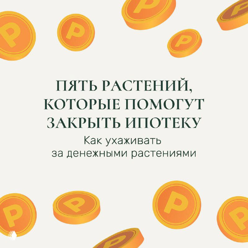 Обложка-иллюстрация с монетами и заголовком «Пять растений, которые помогут закрыть ипотеку», декоративный дизайн на пастельном фоне.