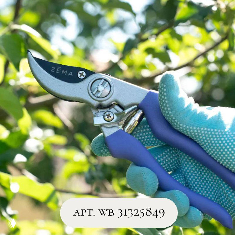 Ручной секатор с бирюзовыми рукоятками на фоне сада — инструмент для обрезки кустарников и толстых ветвей, чистое лезвие на фото.