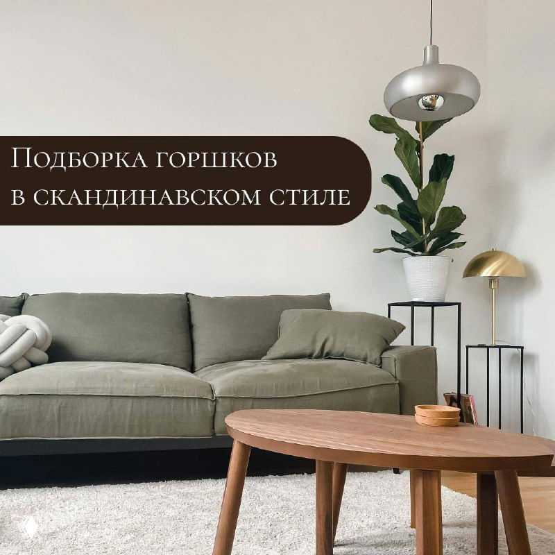 Светлая скандинавская гостиная с серым диваном, деревянным журнальным столом и декоративными горшками для комнатных растений, минималистичная композиция