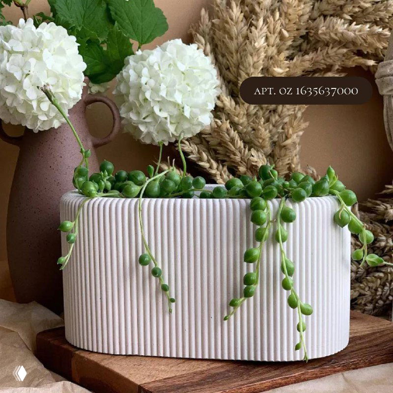 Белый рифленый цилиндрический кашпо на деревянной подставке с ниспадающей суккулентной растительностью и декором из сухоцветов на фоне