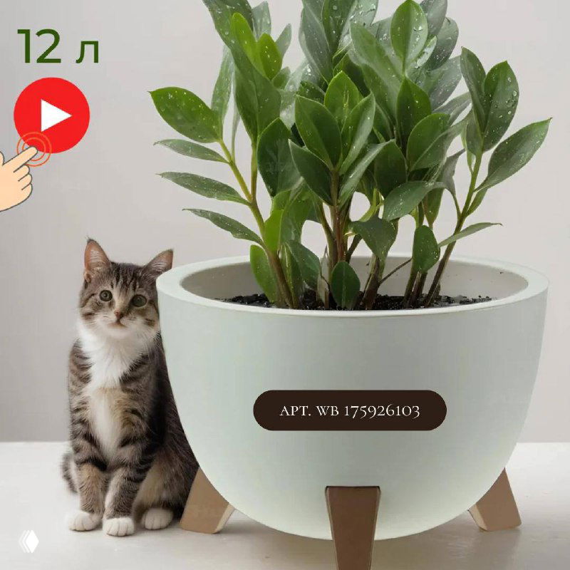 Круглый белый горшок на коротких ножках с зелёным растением и милым котом рядом, акцент на объёме 12 л и простых формах