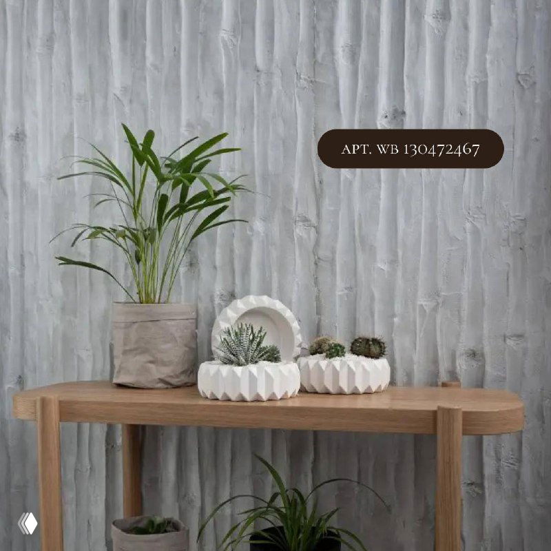 Низкий стол с несколькими маленькими кашпо и растениями на фоне фактурной светлой стены — композиция с акцентом на фактуры и формы