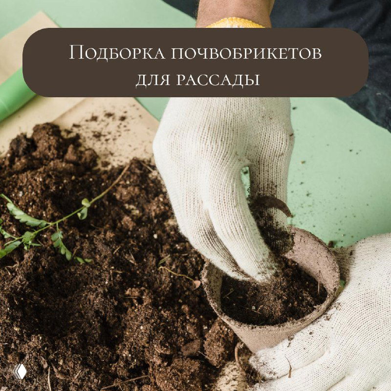 Крупный план: в перчатках пересаживают рассаду в горшочек с рыхлой почвой; на фото виден баннер с заголовком подборки почвобрикетов.