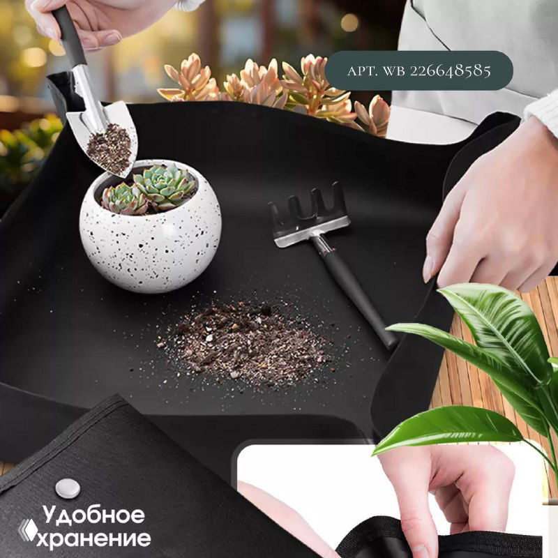 Черный коврик-лоток с небольшими горшками и рассыпанной землей — компактный рабочий модуль для суккулентов и мелкой пересадки.