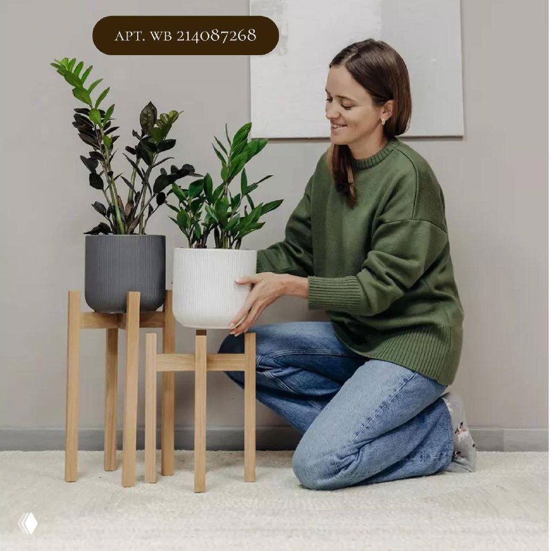 Три деревянные подставки-подиума разной высоты с крупными горшками, женщина размещает растения — показана домашняя расстановка и уход за вазонами