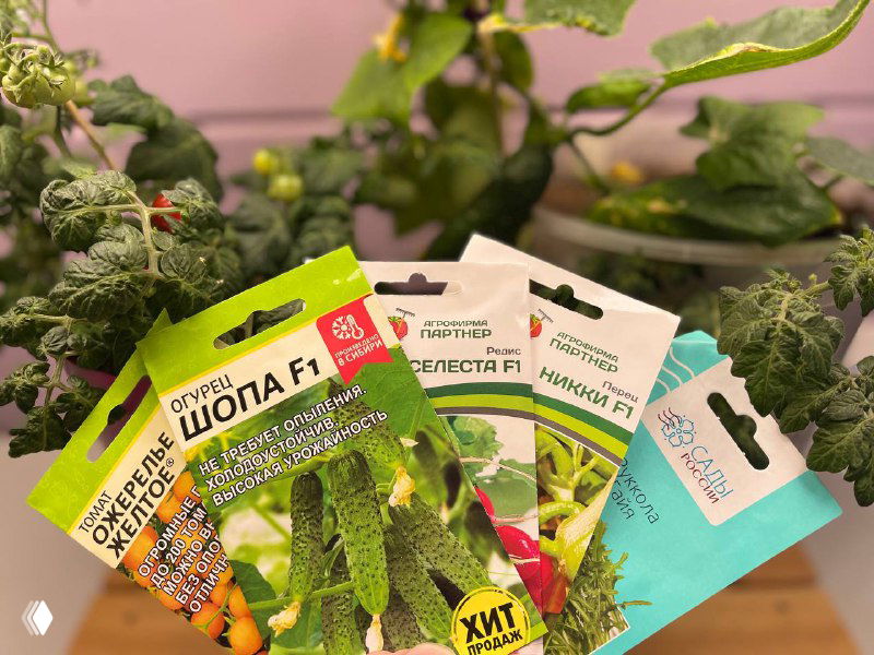 Пакеты семян раннеспелых сортов (Шопа F1, Никки F1, Гайя, Селеста F1) на фоне зелёных растений и кашпо — фото для ориентира при выборе семян.