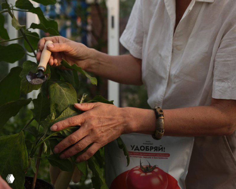 Руки человека с совком вносят порошковую комплексную смесь «Удобряй» под корневую зону растения; видна упаковка с брендом и листва на заднем плане.