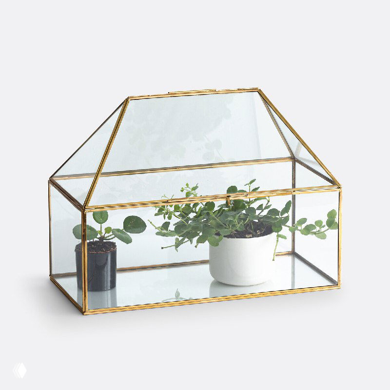 Мини-теплица из стекла и латуни с растением внутри, аккуратный декоративный парник для защиты и демонстрации молодых растений на подоконнике или террасе.