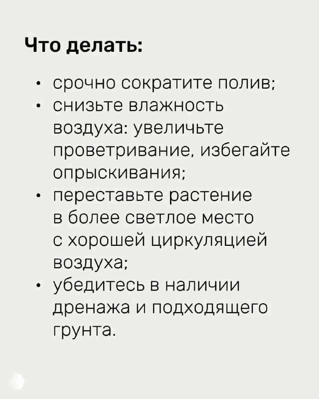 Слайд с рекомендациями по устранению отёка: сократить полив, снизить влажность воздуха, увеличить проветривание, переставить растение в светлое место и проверить дренаж.