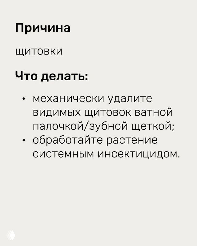 Слайд с причиной и рекомендациями по щитовкам: указано механическое удаление и обработка системным инсектицидом, сопровождающая иллюстрация растения.