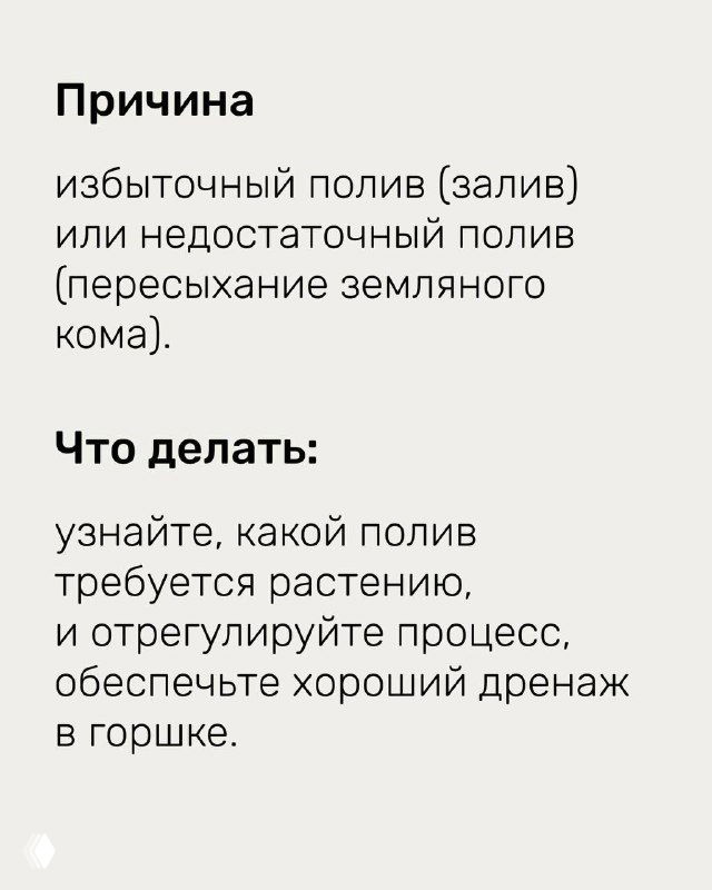 Инфографика: причина — избыточный полив или пересыхание земляного кома; текст с рекомендациями по регулировке полива и дренажу в горшке.
