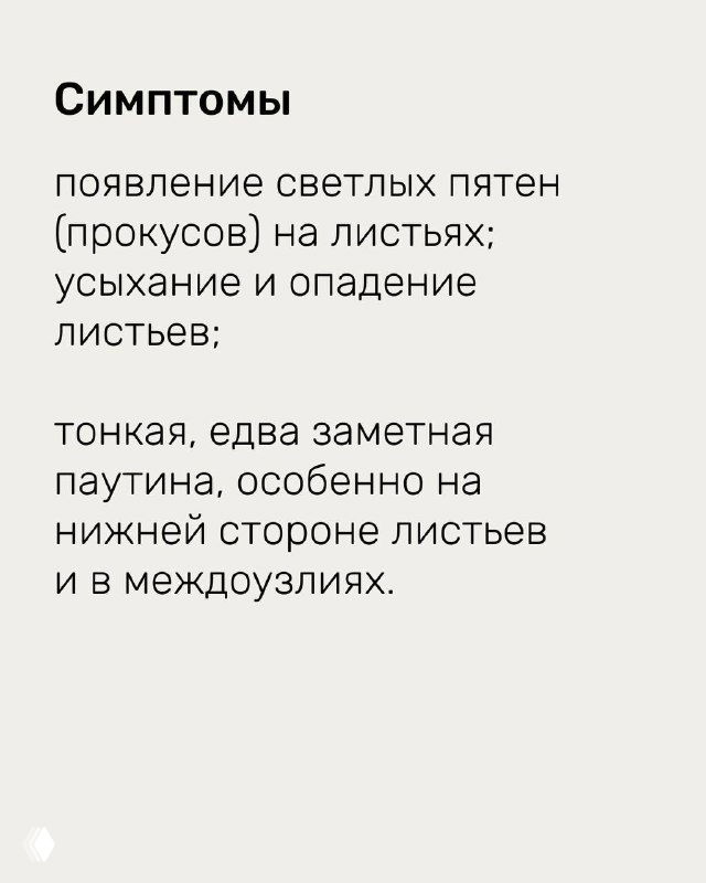 Инфографика: появление светлых пятен (прокуосов) и тонкая паутина на нижней стороне листьев — ранние признаки вредителя.